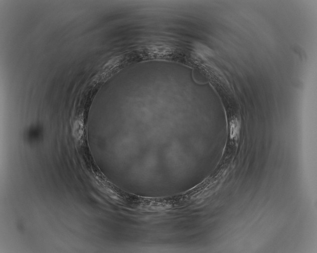 X0000112771011200909031606