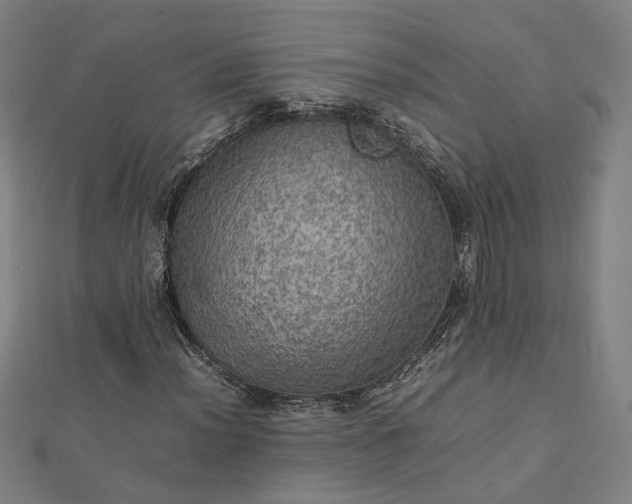 X0000112771012200909031606