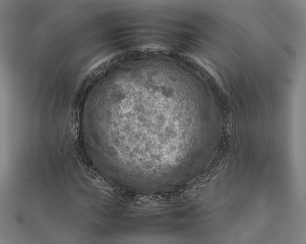 X0000112771015200909031606