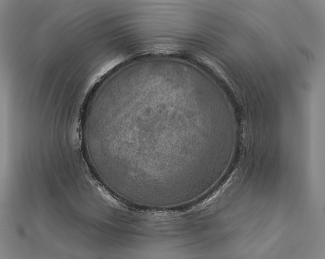 X0000112771018200909031606