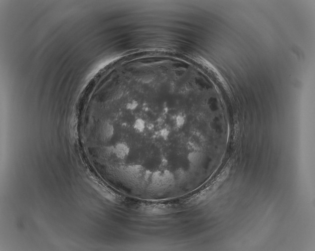 X0000112771019200909031606