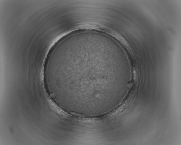 X0000112771020200909031606