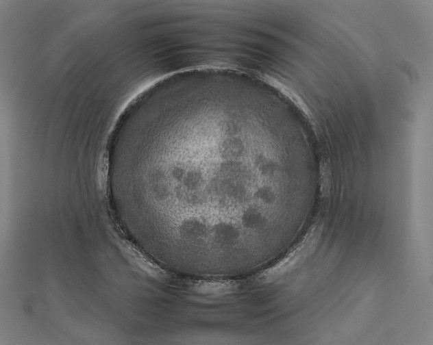 X0000112771021200909031607