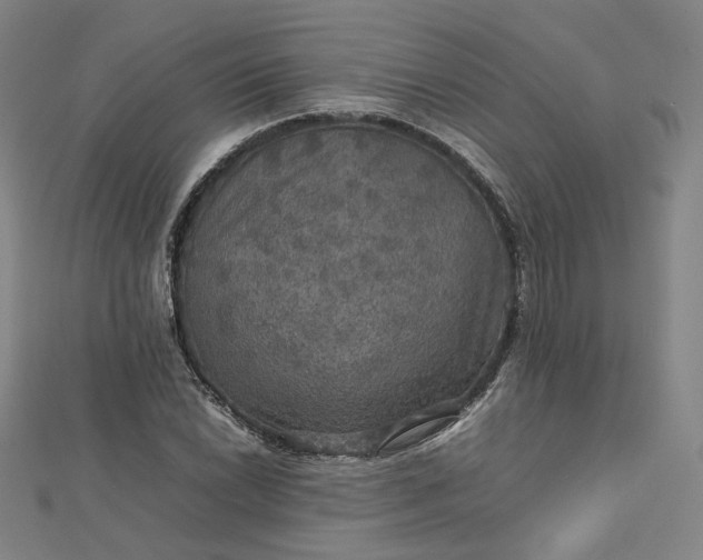 X0000112771022200909031607