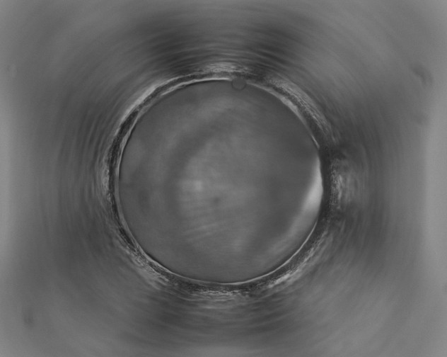 X0000112771023200909031607