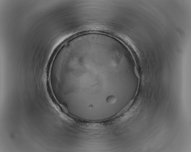 X0000112771024200909031607