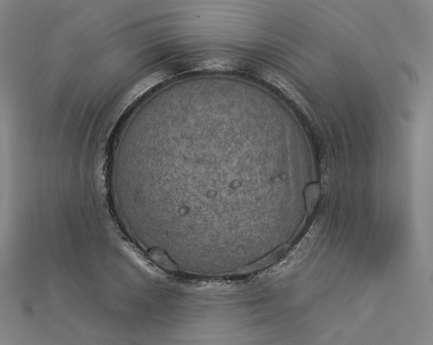 X0000112771026200909031607