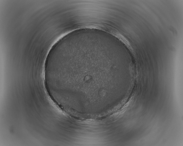 X0000112771028200909031607