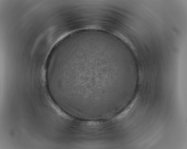 X0000112771029200909031607