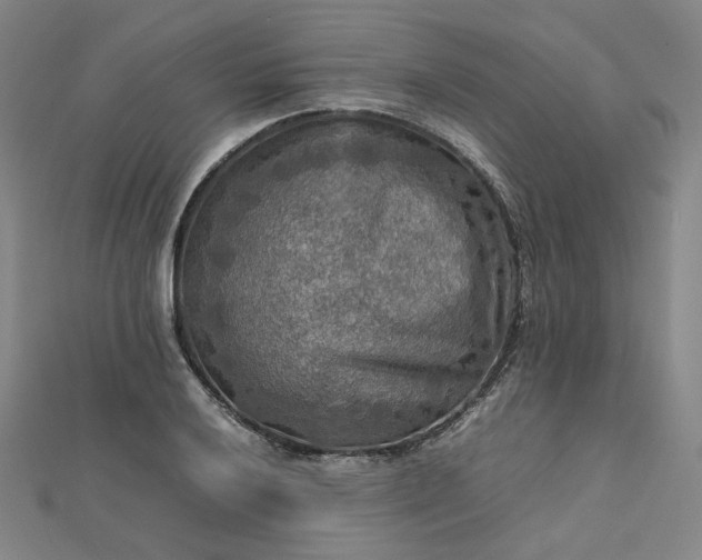 X0000112771032200909031607