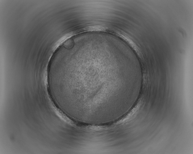 X0000112771034200909031607