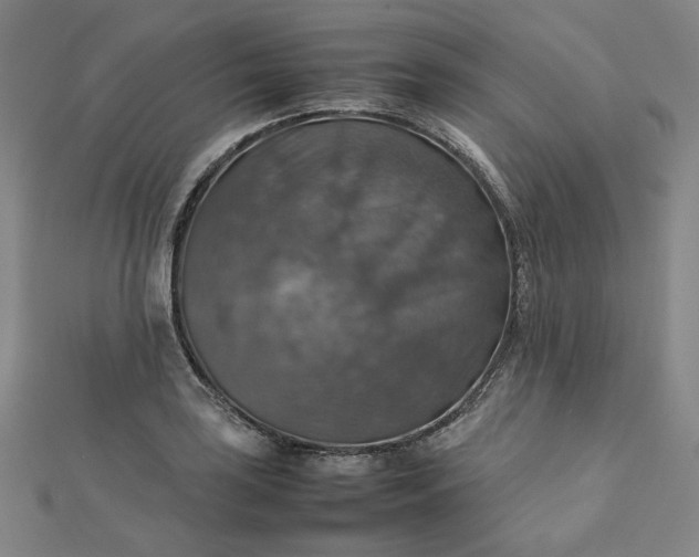 X0000112771035200909031607