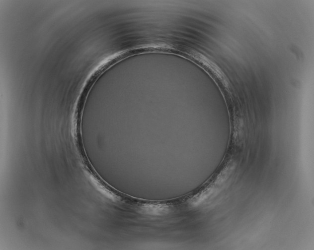 X0000112771037200909031607