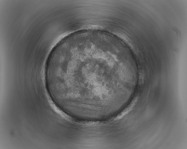 X0000112771038200909031607