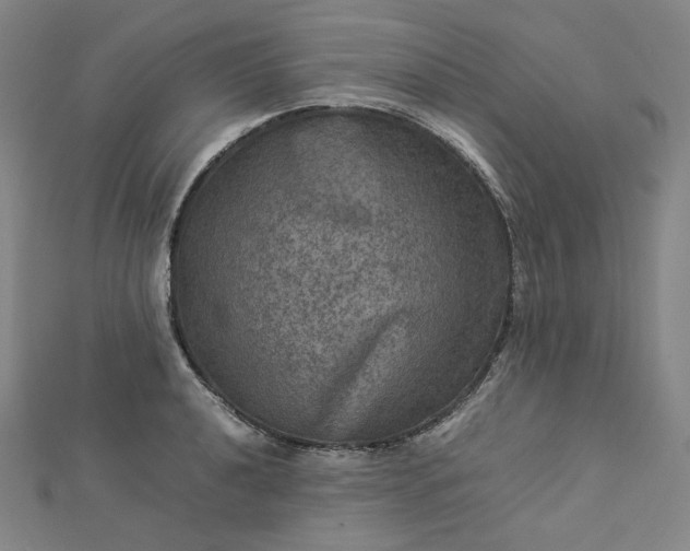 X0000112771040200909031607