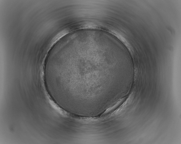 X0000112771042200909031607