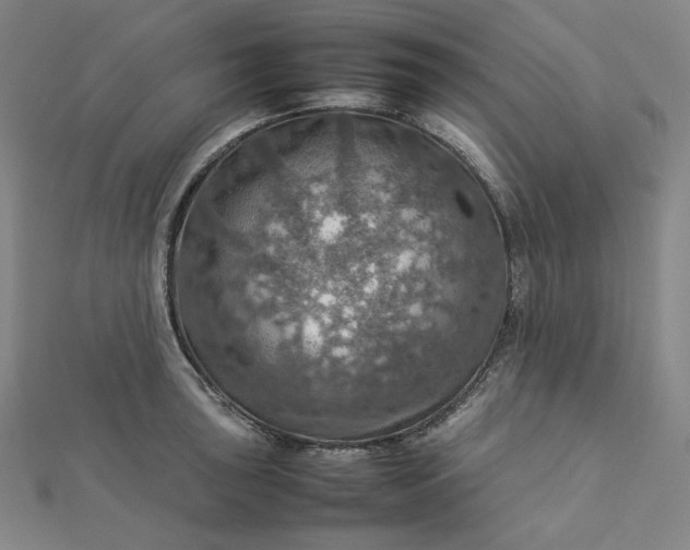 X0000112771043200909031607