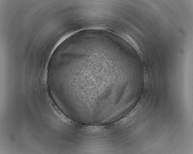 X0000112771044200909031607