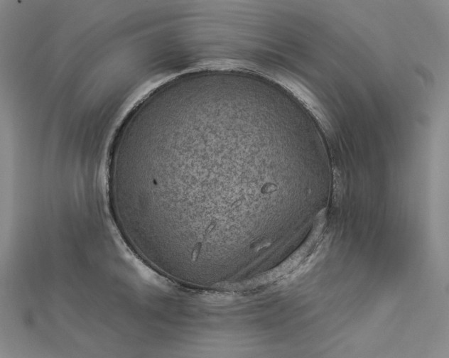 X0000112771046200909031607