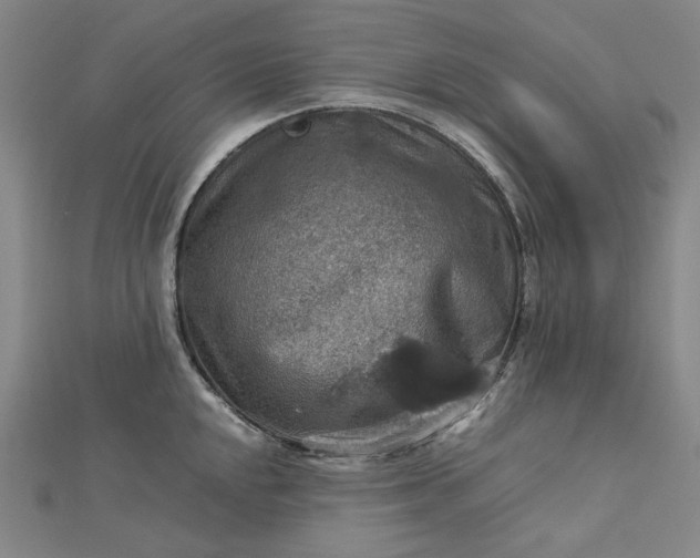 X0000112771048200909031607