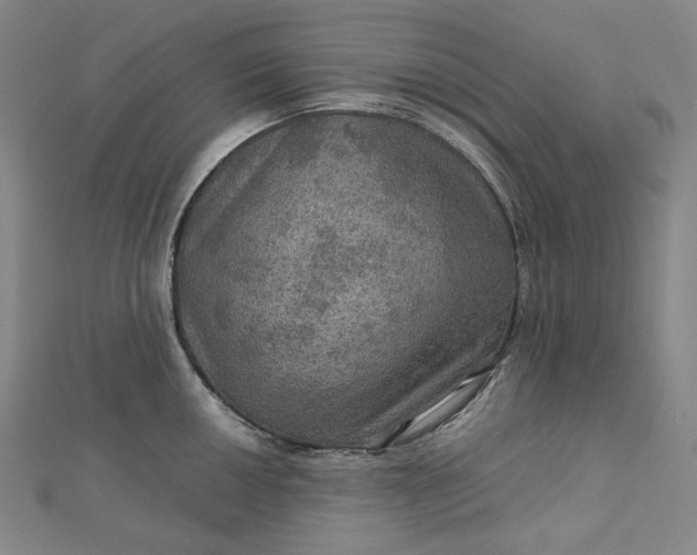 X0000112771050200909031607