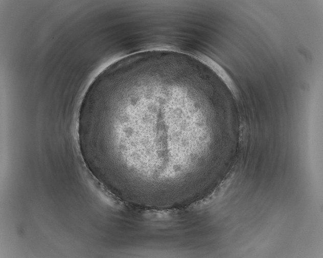 X0000112771051200909031607