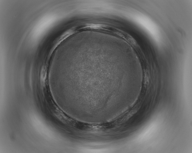 X0000112771052200909031607