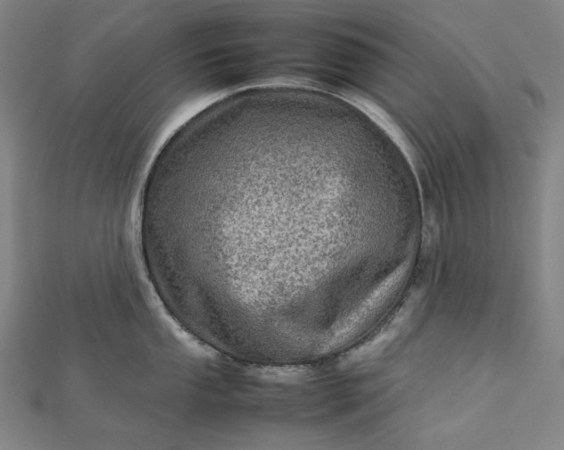 X0000112771053200909031607