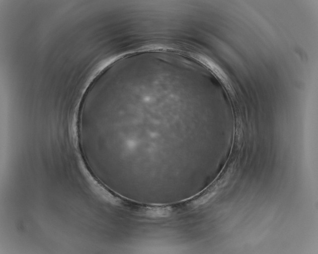 X0000112771055200909031607