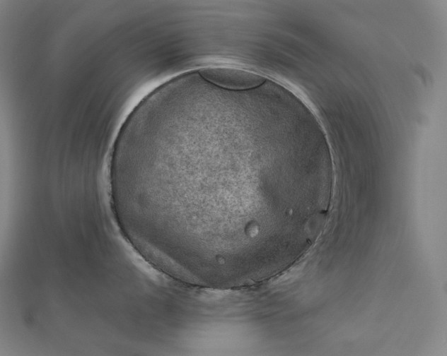 X0000112771056200909031607