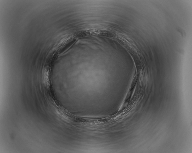 X0000112771060200909031606