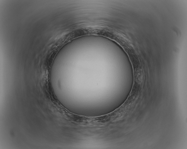 X0000112771061200909031606