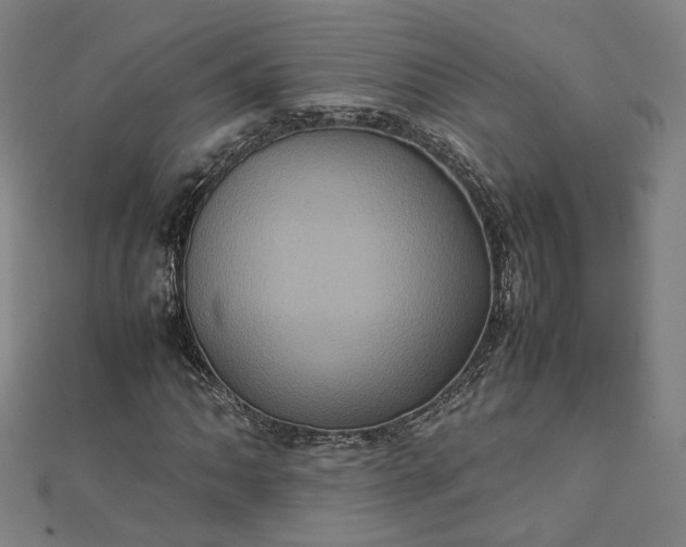 X0000112771062200909031606