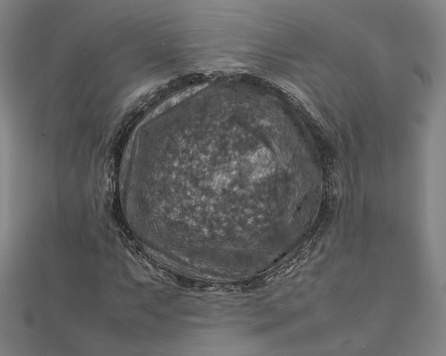 X0000112771063200909031606