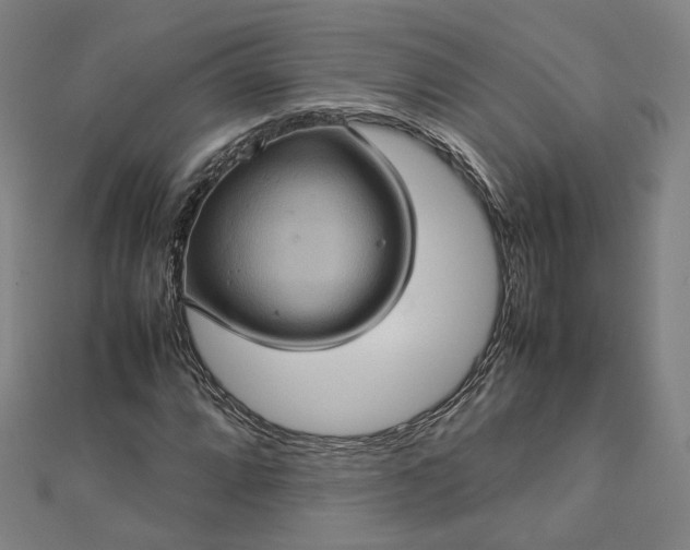 X0000112771064200909031606