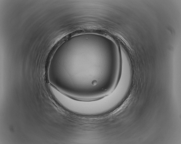 X0000112771065200909031606