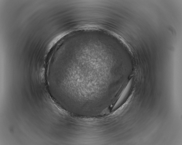 X0000112771066200909031606