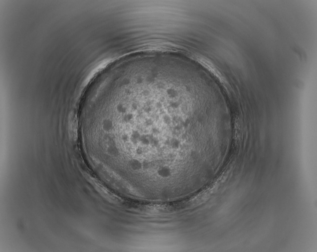 X0000112771067200909031606