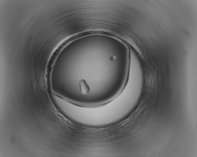 X0000112771068200909031606