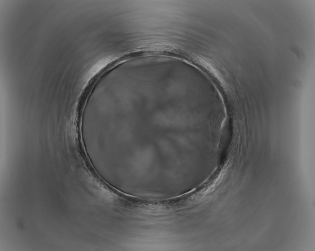 X0000112771071200909031606