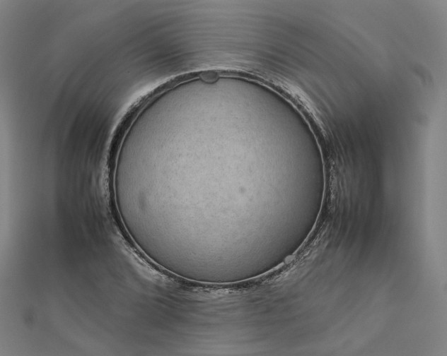 X0000112771072200909031606