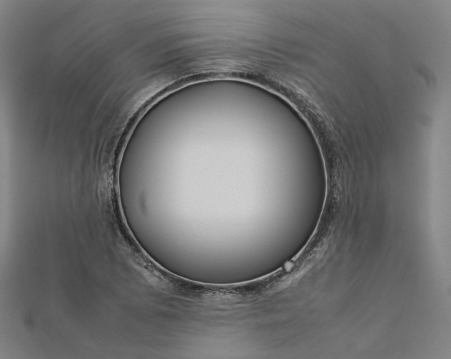 X0000112771073200909031606