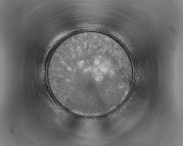 X0000112771074200909031606