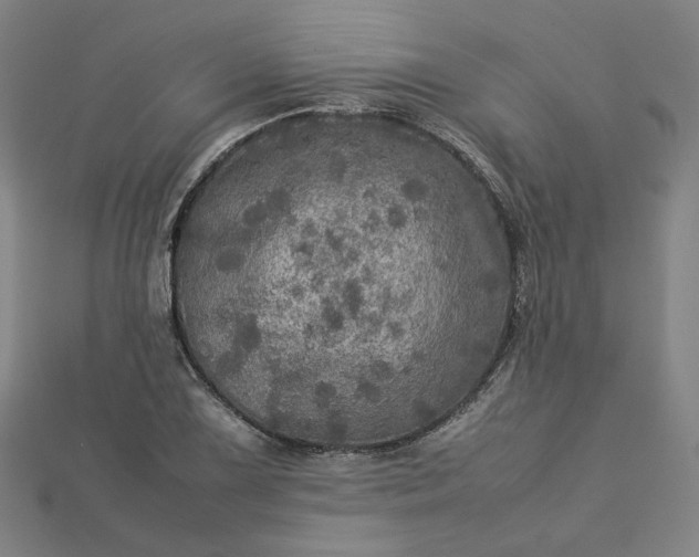 X0000112771075200909031606