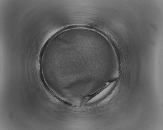 X0000112771077200909031606