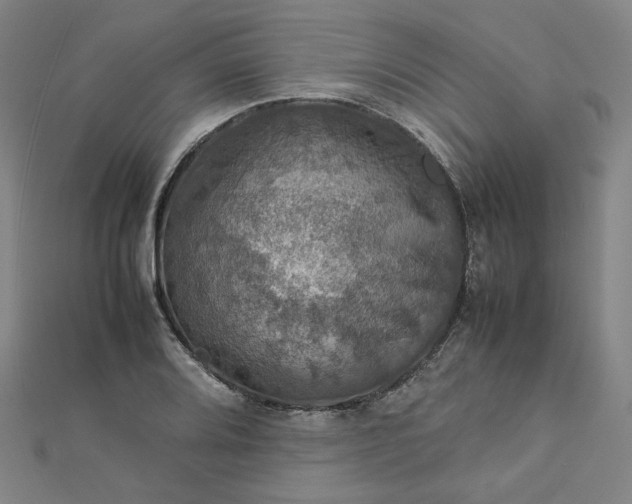 X0000112771080200909031606