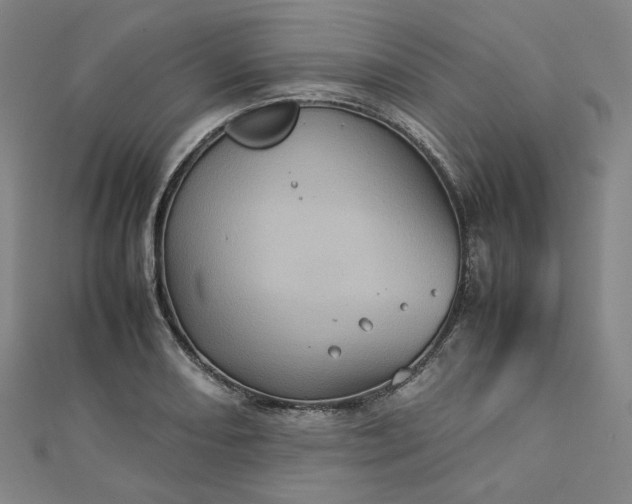 X0000112771082200909031606