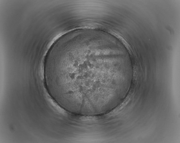 X0000112771083200909031606