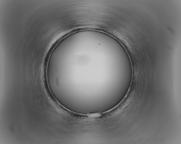 X0000112771085200909031606