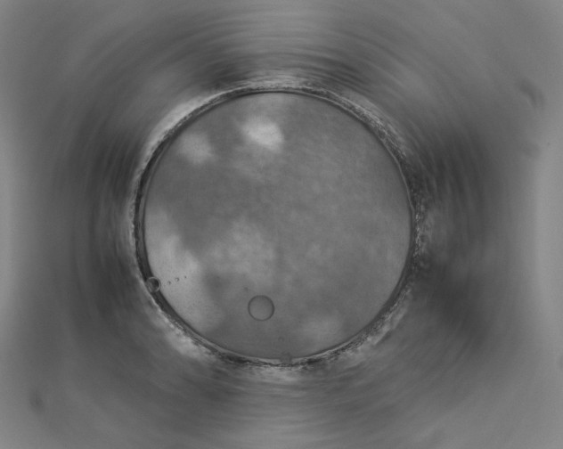 X0000112771086200909031606